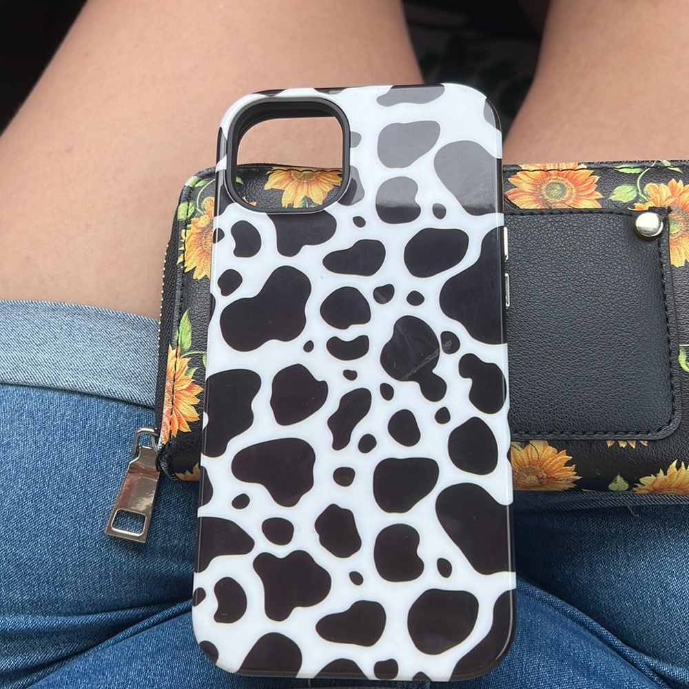 iPhone 14 pro max MagSafe case